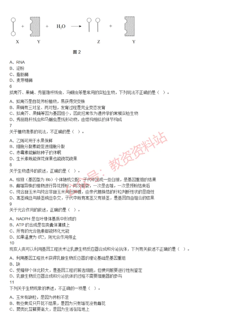 2020年下半年高中《生物》教师资格证笔试真题及答案解析_教资_33教资笔试历年真题汇总（科一+科二+科三）_科三真题_02高中科三各科电子资料包合集_生物（资料文档）