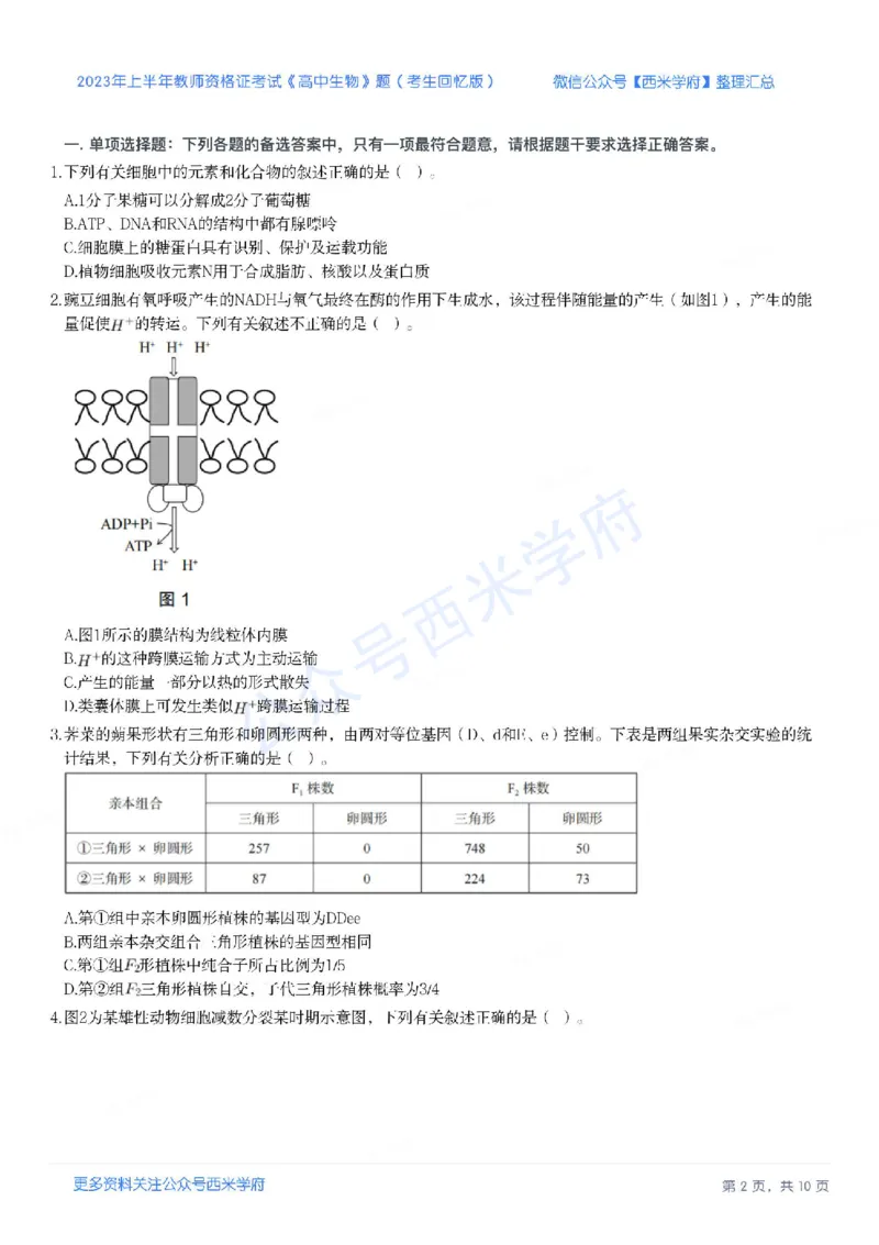 23年上-高中生物-教师资格证笔试真题_教资_25下资料合集二_25下最新科三知识点汇编+思维导图-高中_09.生物_02.历年真题