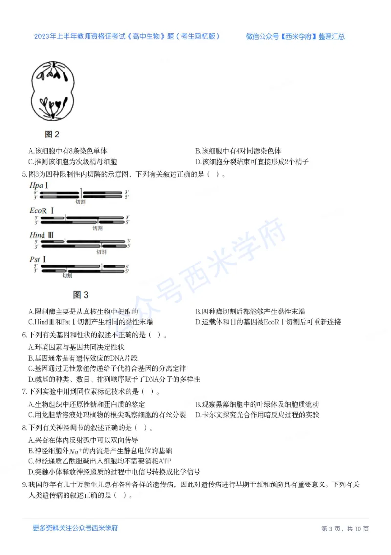 23年上-高中生物-教师资格证笔试真题_教资_25下资料合集二_25下最新科三知识点汇编+思维导图-高中_09.生物_02.历年真题