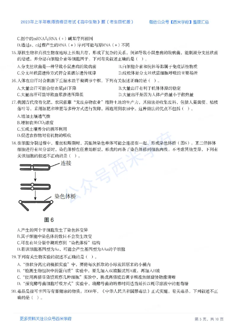 23年上-高中生物-教师资格证笔试真题_教资_25下资料合集二_25下最新科三知识点汇编+思维导图-高中_09.生物_02.历年真题