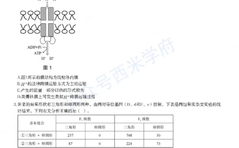 23年上-高中生物-教师资格证笔试真题_教资_25下资料合集二_25下最新科三知识点汇编+思维导图-高中_09.生物_02.历年真题