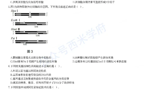 23年上-高中生物-教师资格证笔试真题_教资_25下资料合集二_25下最新科三知识点汇编+思维导图-高中_09.生物_02.历年真题