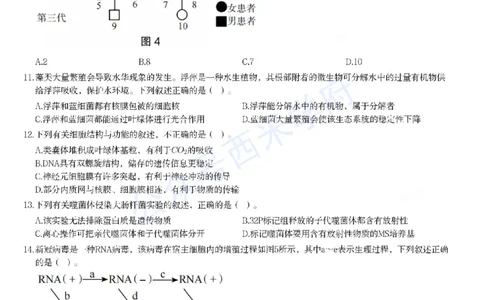 23年上-高中生物-教师资格证笔试真题_教资_25下资料合集二_25下最新科三知识点汇编+思维导图-高中_09.生物_02.历年真题