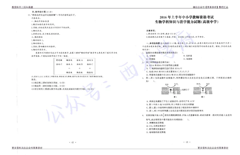 15年下-19年下-高中生物真题-题本_教资_25下资料合集二_25下最新科三知识点汇编+思维导图-高中_09.生物_02.历年真题