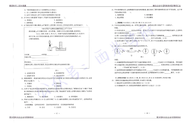 15年下-19年下-高中生物真题-题本_教资_25下资料合集二_25下最新科三知识点汇编+思维导图-高中_09.生物_02.历年真题
