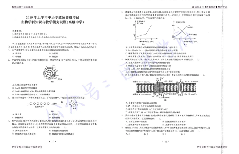 15年下-19年下-高中生物真题-题本_教资_25下资料合集二_25下最新科三知识点汇编+思维导图-高中_09.生物_02.历年真题