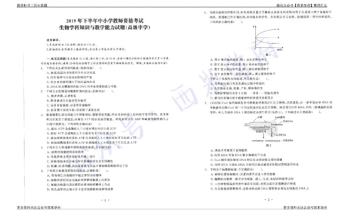 15年下-19年下-高中生物真题-题本_教资_25下资料合集二_25下最新科三知识点汇编+思维导图-高中_09.生物_02.历年真题
