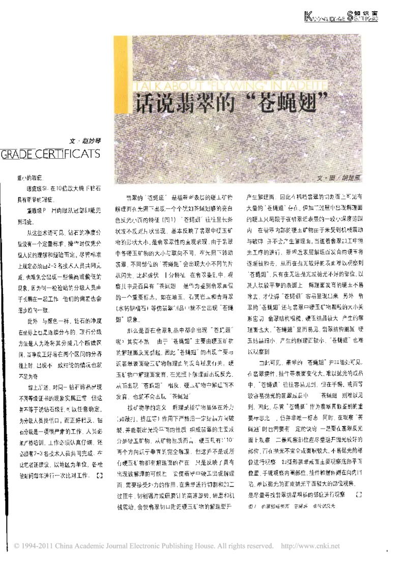 话说翡翠的苍蝇翅_X018-玉石珠宝鉴定教程最新合集_8、玉石翡翠鉴定与投资电子资料