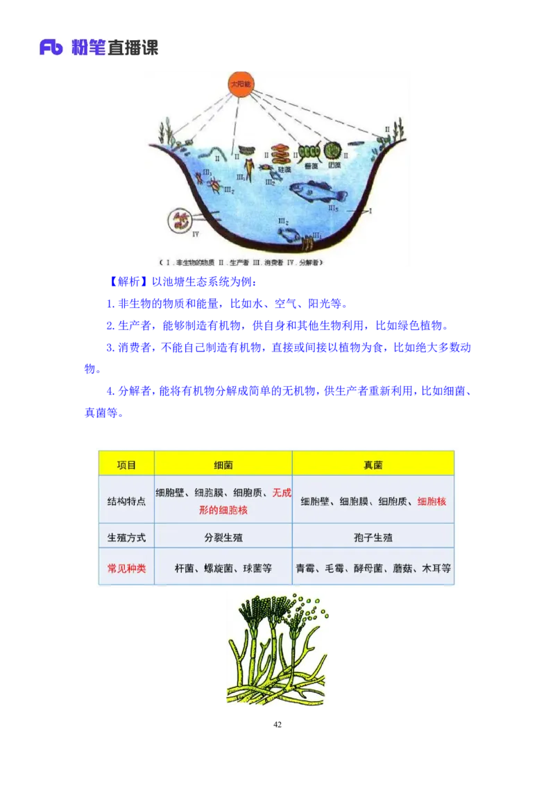 2023.08.27+生物常识+莫晓霏+（讲义+笔记）+（常识高分专项课）_2026考公资料_（10）粉笔_2025粉笔国考省考980（课＋笔记）_粉笔980（25多省）_02025年980系统班补充课程FB_讲义