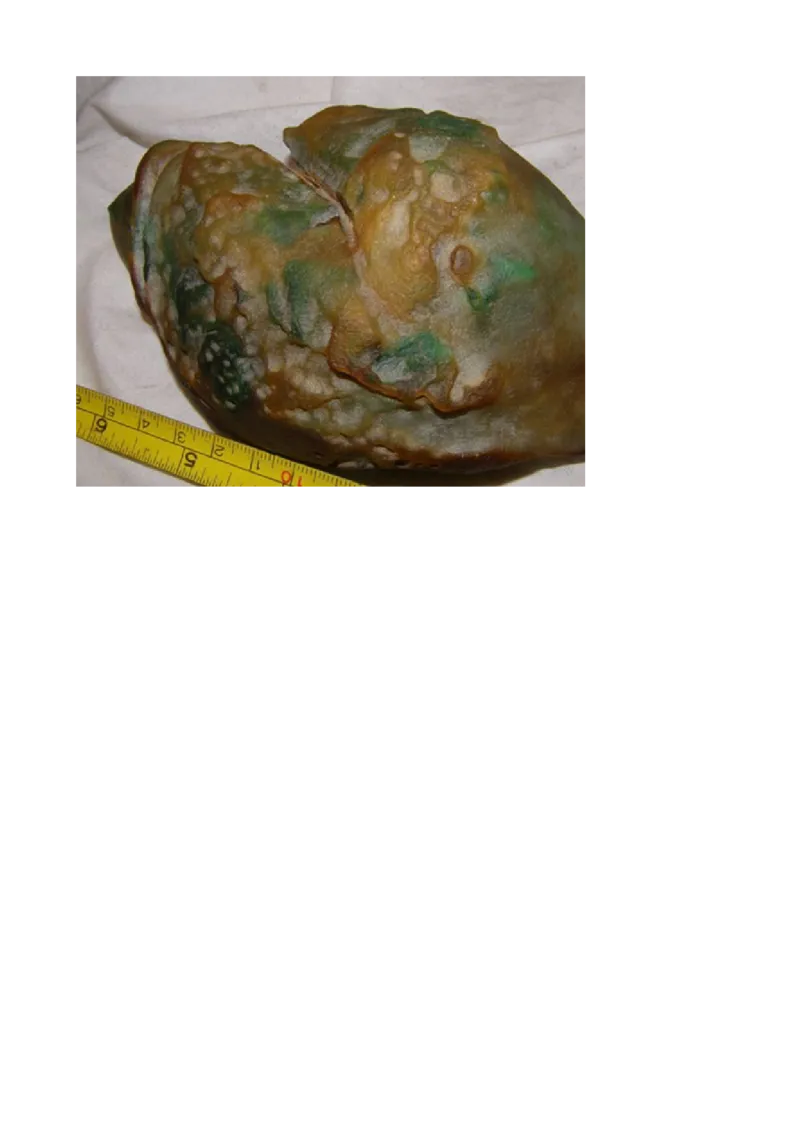 赌石知识和赌石技巧大全（赌石吧图书馆）_X018-玉石珠宝鉴定教程最新合集_8、玉石翡翠鉴定与投资电子资料_赌石专题