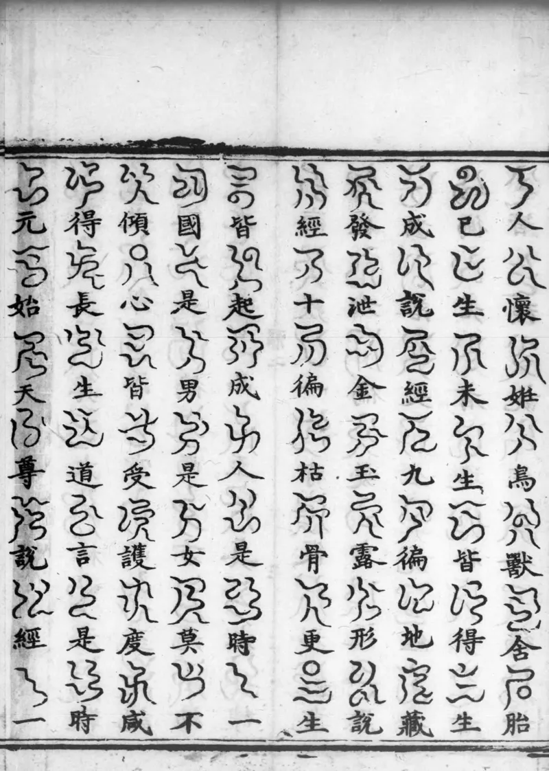 正统道藏.02.洞真部神符类.明正统十年内府刊本.灰度胶片_绝版书_天涯系列_t涯_绝版古籍电子书合集（13大类）_道家_道藏（七套）_洞真部