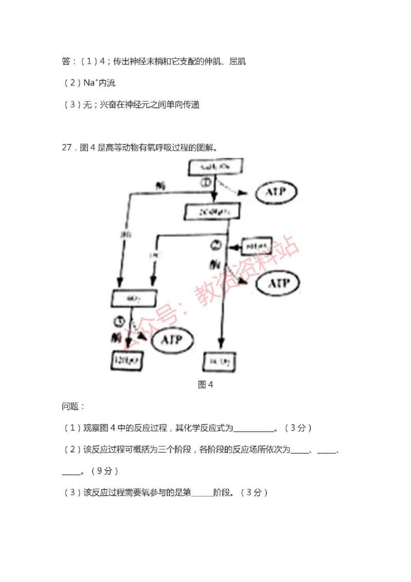 2021年上半年初中《生物》教师资格证笔试真题及答案解析_教资_33教资笔试历年真题汇总（科一+科二+科三）_科三真题_02初中科三各科电子资料包合集_生物（资料文档）