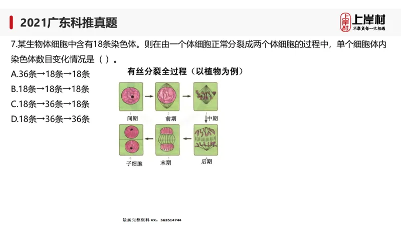 2021广东科推真题_2026考公资料_（28）上岸村合集（司马、章晓铭、王永恒、天晓、忠政、丁旭等）_2025合集_92024上岸村广东省考科学推理套卷班_课件_广东科学推理真题2019-2023