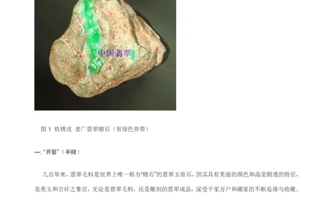翡翠赌石知识的学习_X018-玉石珠宝鉴定教程最新合集_8、玉石翡翠鉴定与投资电子资料_赌石专题