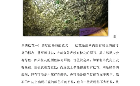 翡翠松花_X018-玉石珠宝鉴定教程最新合集_8、玉石翡翠鉴定与投资电子资料_赌石专题