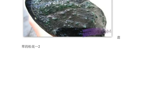 翡翠松花_X018-玉石珠宝鉴定教程最新合集_8、玉石翡翠鉴定与投资电子资料_赌石专题
