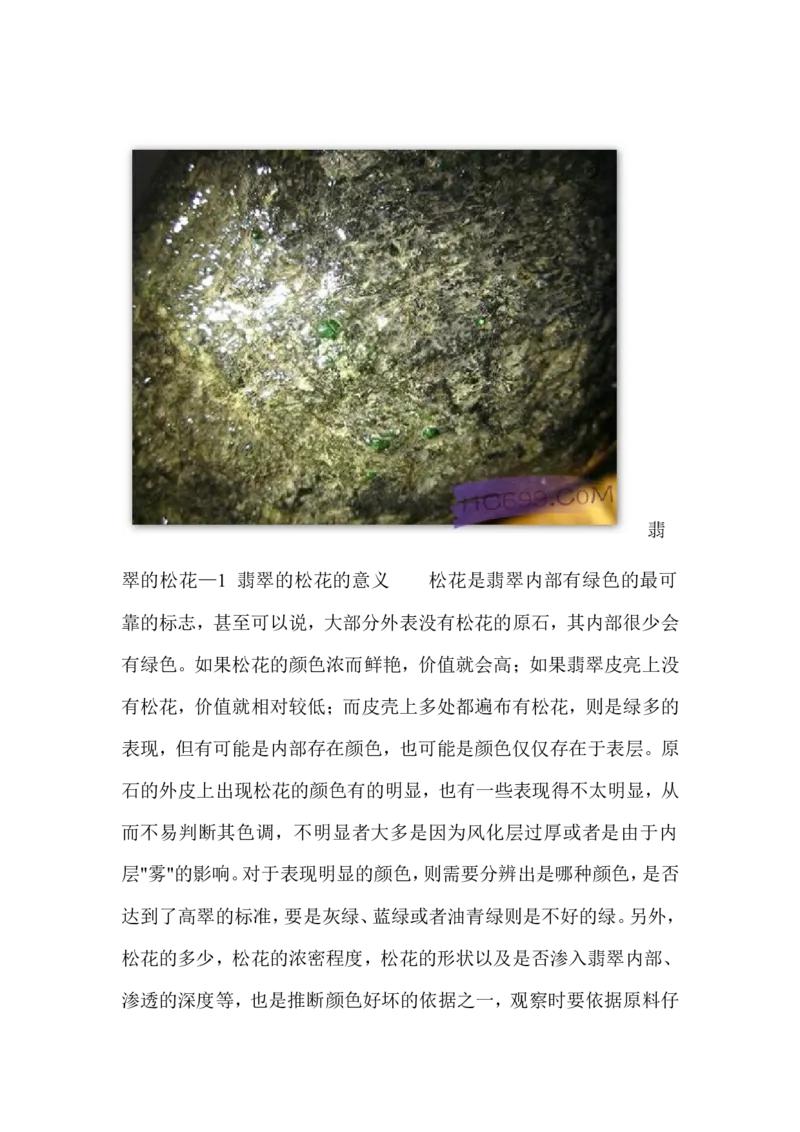 翡翠松花_X018-玉石珠宝鉴定教程最新合集_8、玉石翡翠鉴定与投资电子资料_赌石专题