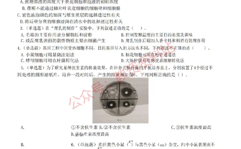 2022年下半年高中《生物》教师资格证笔试真题及答案解析_教资_33教资笔试历年真题汇总（科一+科二+科三）_科三真题_02高中科三各科电子资料包合集_生物（资料文档）