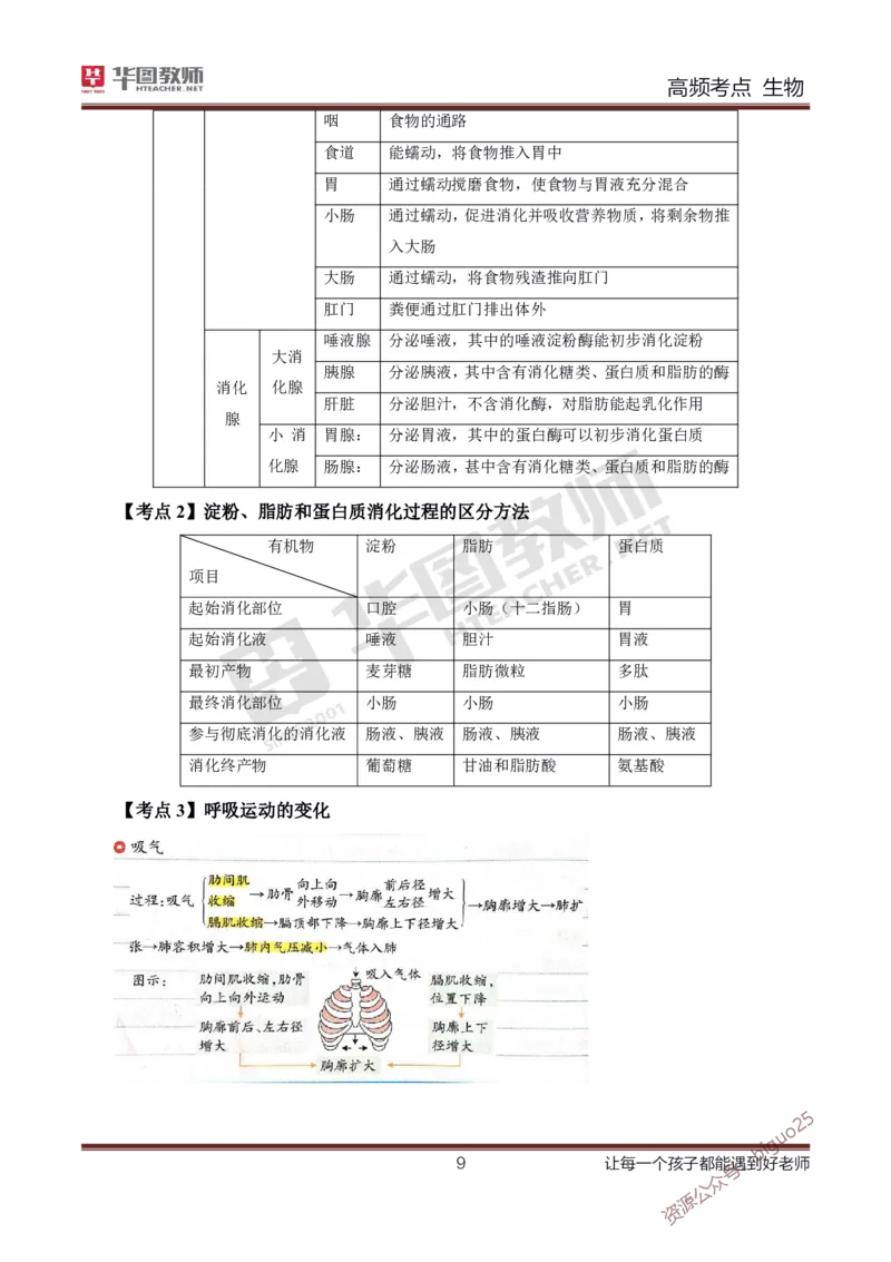 中学生物高频考点_教资_33教资笔试历年真题汇总（科一+科二+科三）_科三真题_02初中科三各科电子资料包合集_生物（资料文档）_初中生物_03高频考点及笔记