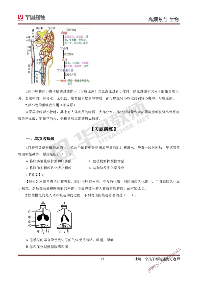 中学生物高频考点_教资_33教资笔试历年真题汇总（科一+科二+科三）_科三真题_02初中科三各科电子资料包合集_生物（资料文档）_初中生物_03高频考点及笔记
