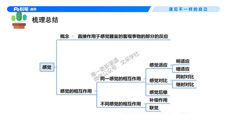 中学资格证科目二理论精讲8-钱晓萍_教资_F家2026上教资笔试系统班_26上FB中学教资笔试（更新中）_0226上-教育知识与能力（更新中）_1.理论精讲_讲义