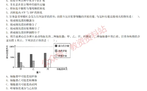 2015上-2019上初中生物学科知识历年真题及解析_教资_33教资笔试历年真题汇总（科一+科二+科三）_科三真题_02初中科三各科电子资料包合集_生物（资料文档）_初中生物