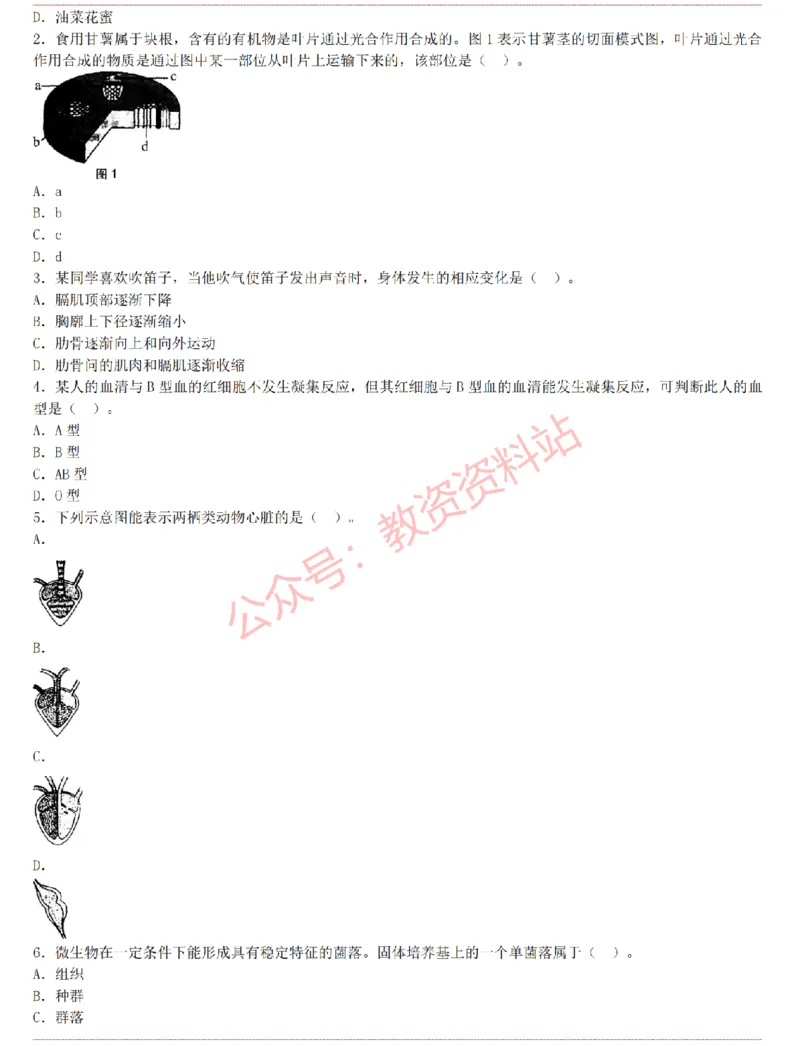 2015上-2019上初中生物学科知识历年真题及解析_教资_33教资笔试历年真题汇总（科一+科二+科三）_科三真题_02初中科三各科电子资料包合集_生物（资料文档）_初中生物