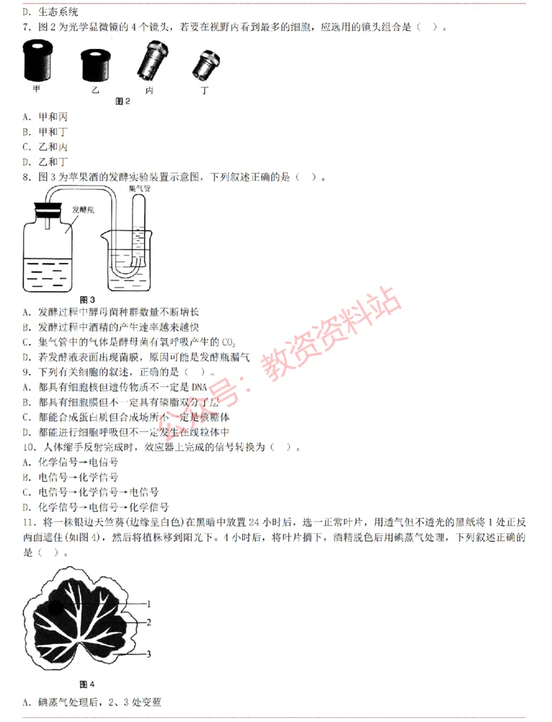 2015上-2019上初中生物学科知识历年真题及解析_教资_33教资笔试历年真题汇总（科一+科二+科三）_科三真题_02初中科三各科电子资料包合集_生物（资料文档）_初中生物