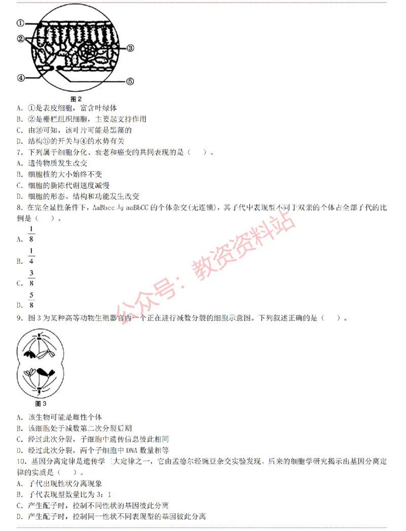 2015上-2019上初中生物学科知识历年真题及解析_教资_33教资笔试历年真题汇总（科一+科二+科三）_科三真题_02初中科三各科电子资料包合集_生物（资料文档）_初中生物