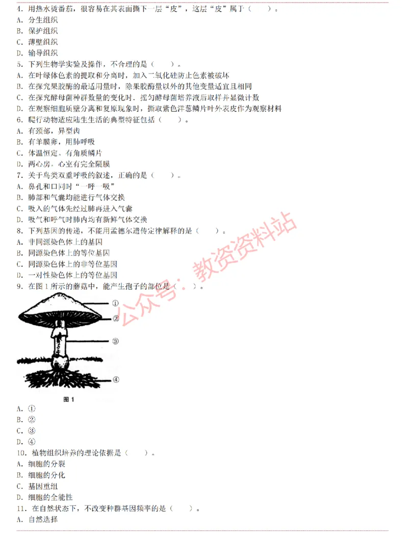 2015上-2019上初中生物学科知识历年真题及解析_教资_33教资笔试历年真题汇总（科一+科二+科三）_科三真题_02初中科三各科电子资料包合集_生物（资料文档）_初中生物