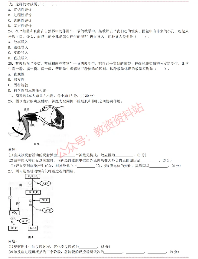 2015上-2019上初中生物学科知识历年真题及解析_教资_33教资笔试历年真题汇总（科一+科二+科三）_科三真题_02初中科三各科电子资料包合集_生物（资料文档）_初中生物