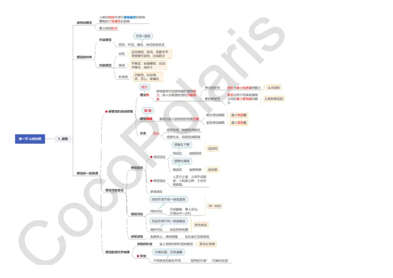 0226上中学科二CocoPolarisの中学教育知识与能力思维导图_教资_2026上半年中学教资笔试（更新中）_0926上coco教资笔记（中小学）_26年上coco中学教资