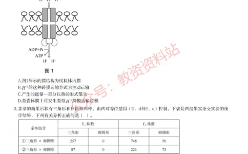 2023年上半年高中《生物》教师资格证笔试真题及答案解析_教资_33教资笔试历年真题汇总（科一+科二+科三）_科三真题_02高中科三各科电子资料包合集_生物（资料文档）