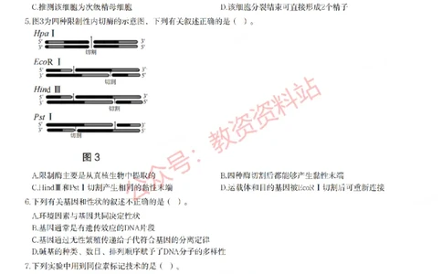 2023年上半年高中《生物》教师资格证笔试真题及答案解析_教资_33教资笔试历年真题汇总（科一+科二+科三）_科三真题_02高中科三各科电子资料包合集_生物（资料文档）