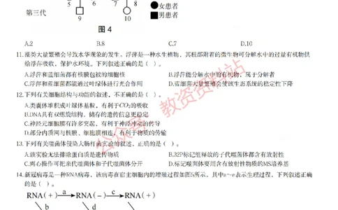 2023年上半年高中《生物》教师资格证笔试真题及答案解析_教资_33教资笔试历年真题汇总（科一+科二+科三）_科三真题_02高中科三各科电子资料包合集_生物（资料文档）