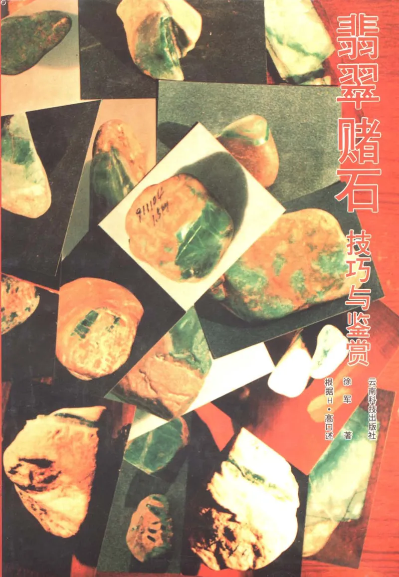 翡翠赌石技巧与鉴赏-徐军_X018-玉石珠宝鉴定教程最新合集_6、翡翠鉴定专题全套课程_翡翠电子书_翡翠投资