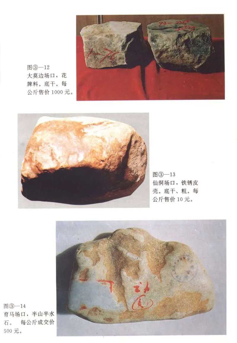 翡翠赌石技巧与鉴赏-徐军_X018-玉石珠宝鉴定教程最新合集_6、翡翠鉴定专题全套课程_翡翠电子书_翡翠投资