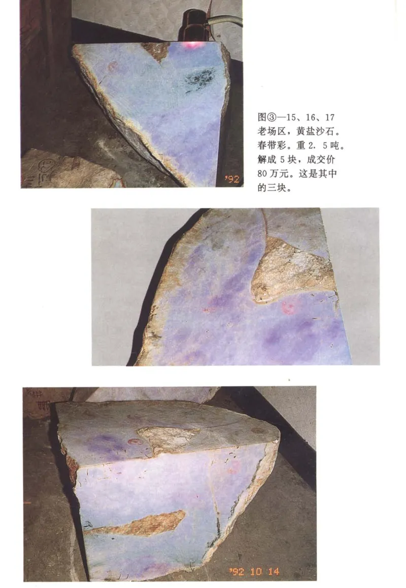 翡翠赌石技巧与鉴赏-徐军_X018-玉石珠宝鉴定教程最新合集_6、翡翠鉴定专题全套课程_翡翠电子书_翡翠投资