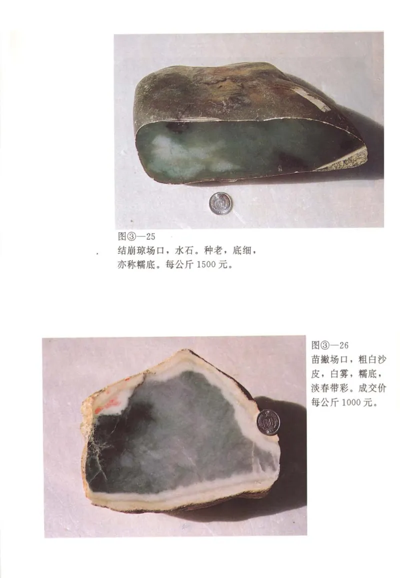 翡翠赌石技巧与鉴赏-徐军_X018-玉石珠宝鉴定教程最新合集_6、翡翠鉴定专题全套课程_翡翠电子书_翡翠投资