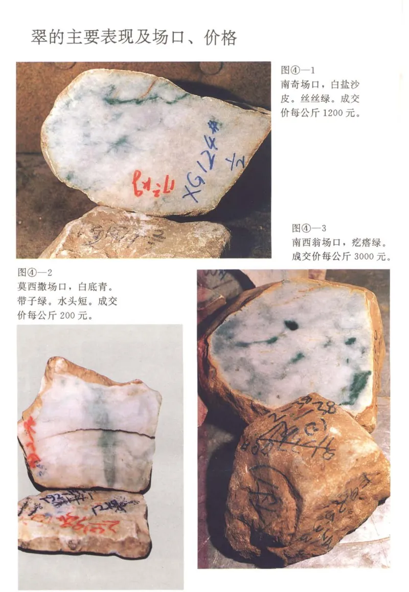 翡翠赌石技巧与鉴赏-徐军_X018-玉石珠宝鉴定教程最新合集_6、翡翠鉴定专题全套课程_翡翠电子书_翡翠投资