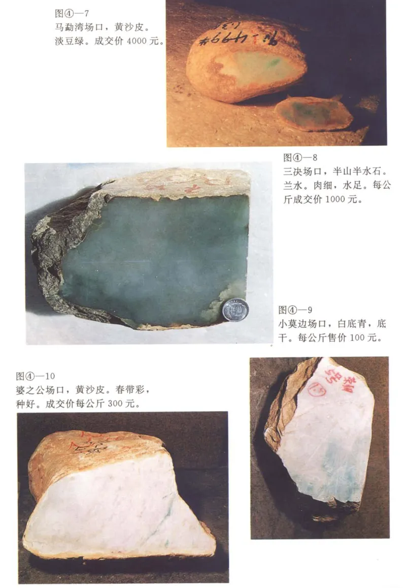 翡翠赌石技巧与鉴赏-徐军_X018-玉石珠宝鉴定教程最新合集_6、翡翠鉴定专题全套课程_翡翠电子书_翡翠投资