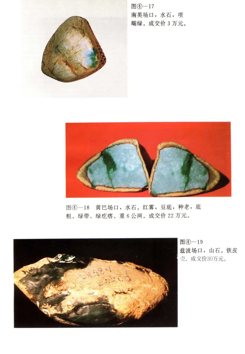 翡翠赌石技巧与鉴赏-徐军_X018-玉石珠宝鉴定教程最新合集_6、翡翠鉴定专题全套课程_翡翠电子书_翡翠投资