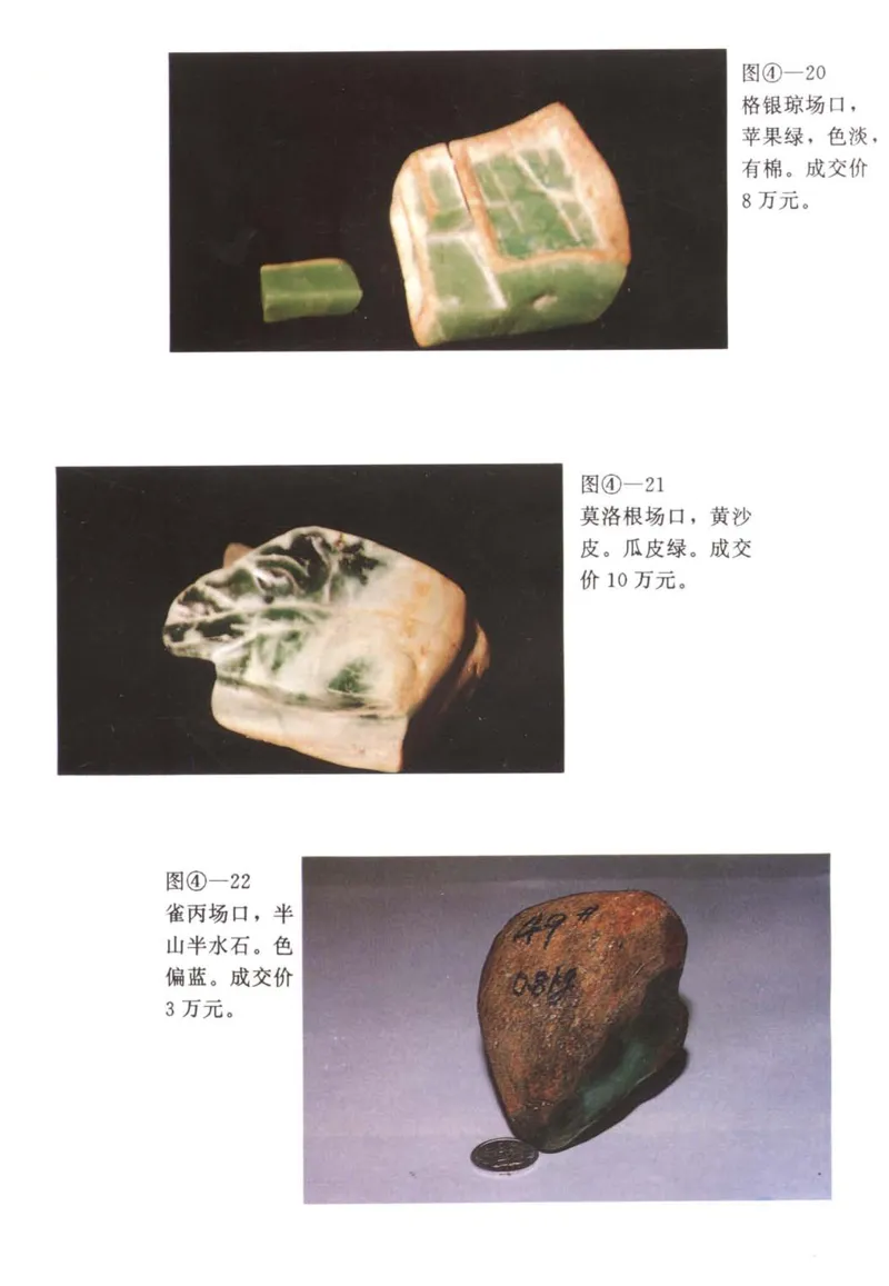 翡翠赌石技巧与鉴赏-徐军_X018-玉石珠宝鉴定教程最新合集_6、翡翠鉴定专题全套课程_翡翠电子书_翡翠投资