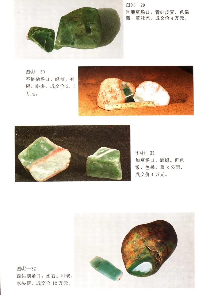 翡翠赌石技巧与鉴赏-徐军_X018-玉石珠宝鉴定教程最新合集_6、翡翠鉴定专题全套课程_翡翠电子书_翡翠投资