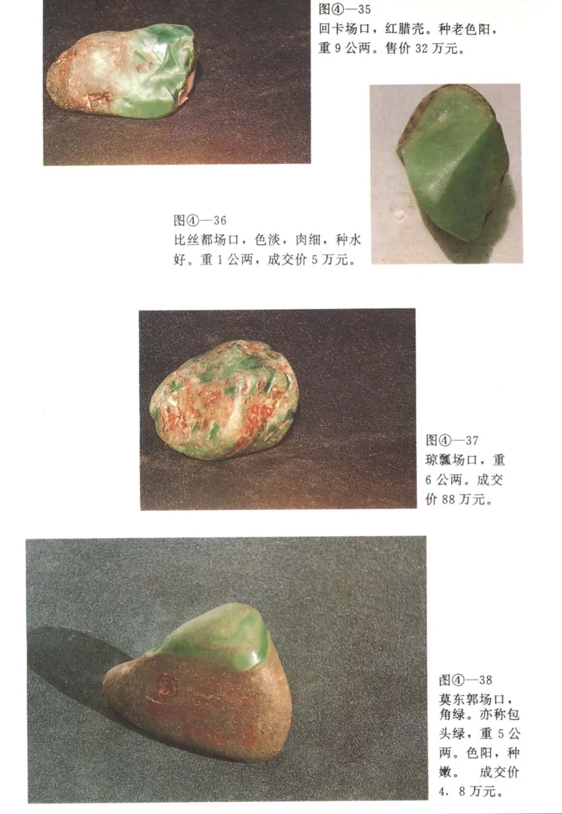 翡翠赌石技巧与鉴赏-徐军_X018-玉石珠宝鉴定教程最新合集_6、翡翠鉴定专题全套课程_翡翠电子书_翡翠投资