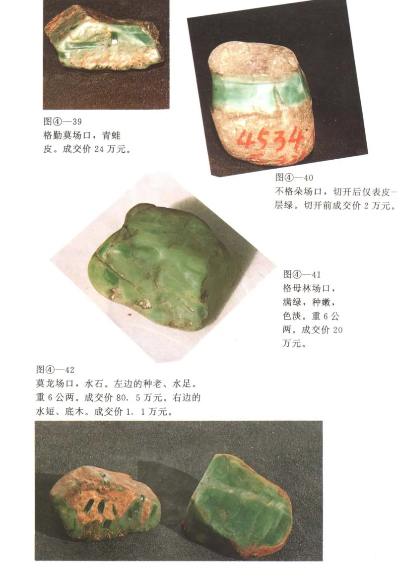 翡翠赌石技巧与鉴赏-徐军_X018-玉石珠宝鉴定教程最新合集_6、翡翠鉴定专题全套课程_翡翠电子书_翡翠投资