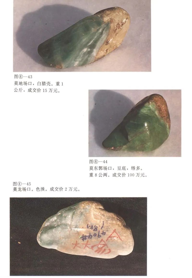 翡翠赌石技巧与鉴赏-徐军_X018-玉石珠宝鉴定教程最新合集_6、翡翠鉴定专题全套课程_翡翠电子书_翡翠投资