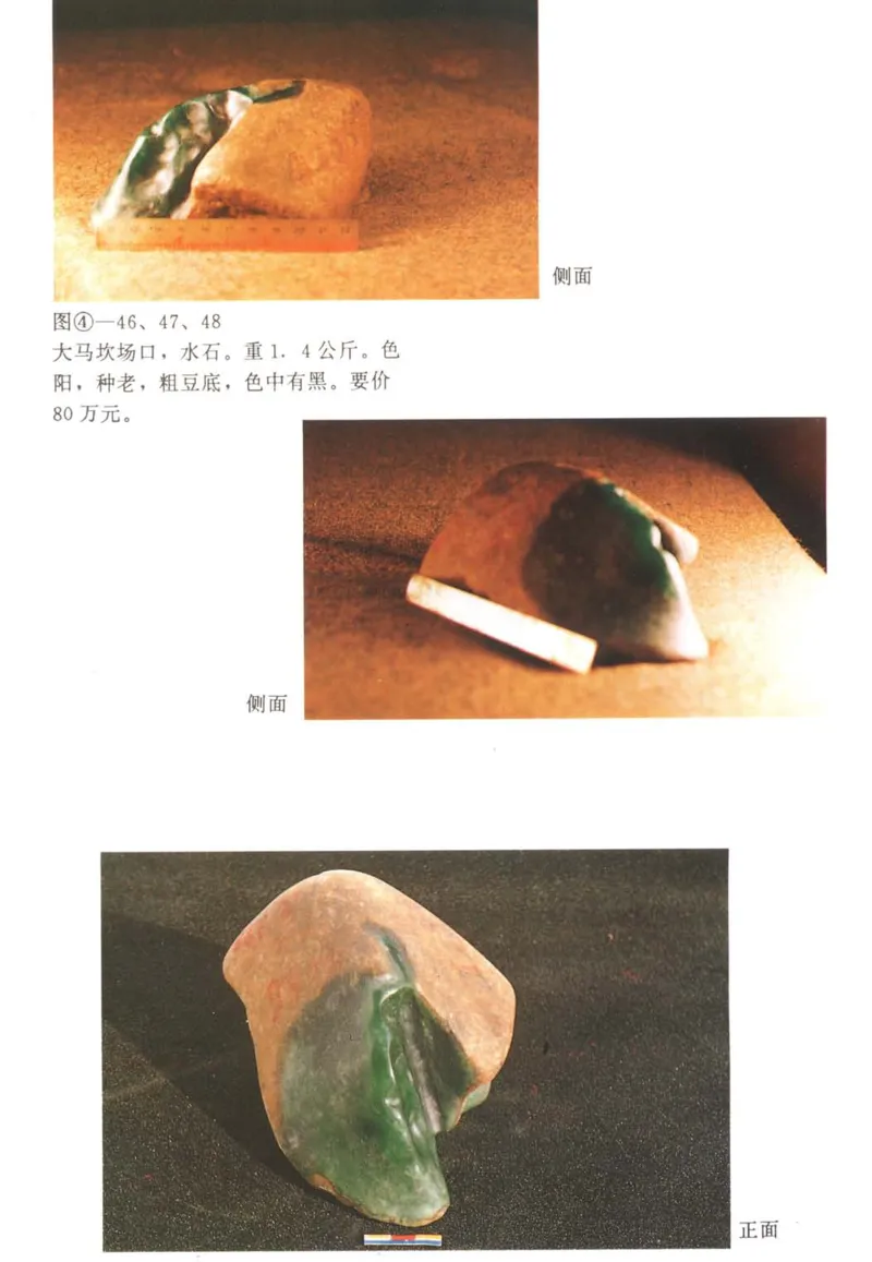 翡翠赌石技巧与鉴赏-徐军_X018-玉石珠宝鉴定教程最新合集_6、翡翠鉴定专题全套课程_翡翠电子书_翡翠投资