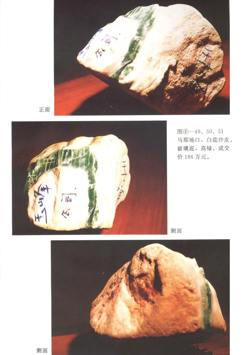 翡翠赌石技巧与鉴赏-徐军_X018-玉石珠宝鉴定教程最新合集_6、翡翠鉴定专题全套课程_翡翠电子书_翡翠投资