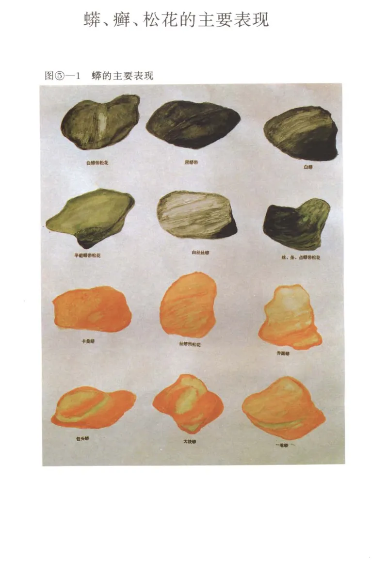 翡翠赌石技巧与鉴赏-徐军_X018-玉石珠宝鉴定教程最新合集_6、翡翠鉴定专题全套课程_翡翠电子书_翡翠投资